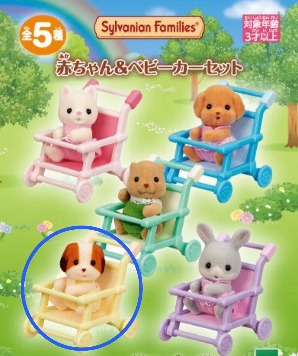 실바니안 쉬폰독 아기 오스틴