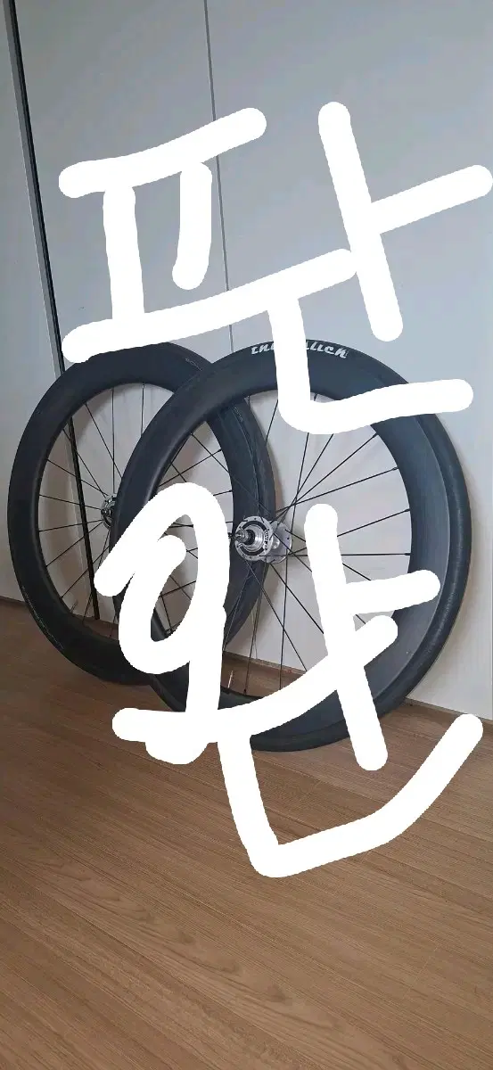 디티파스포츠 60림 판/교