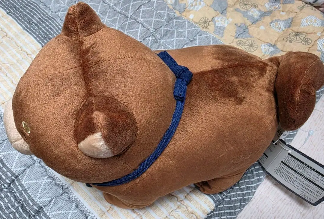 귀여운 시바견 인형