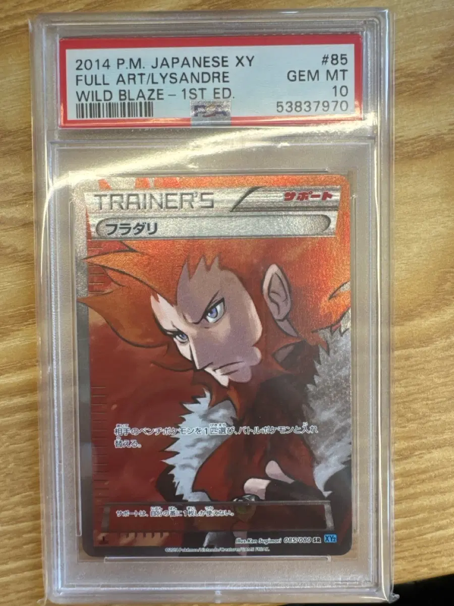 2014 포켓몬카드 XY 플라드리 일본판 psa10