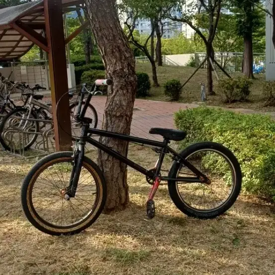 BMX급처