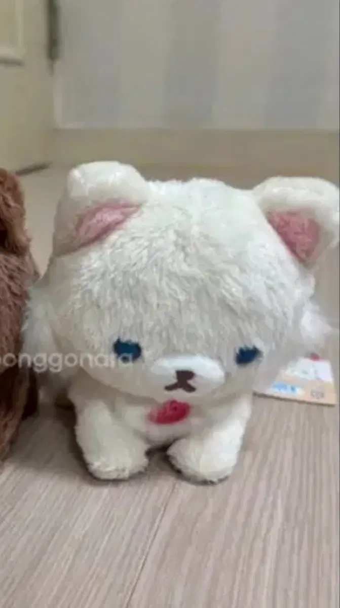 리락쿠마 리본 고양이 아이보리 인형
