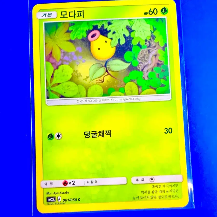 포켓몬카드 2017년 고대카드 모다피 카드