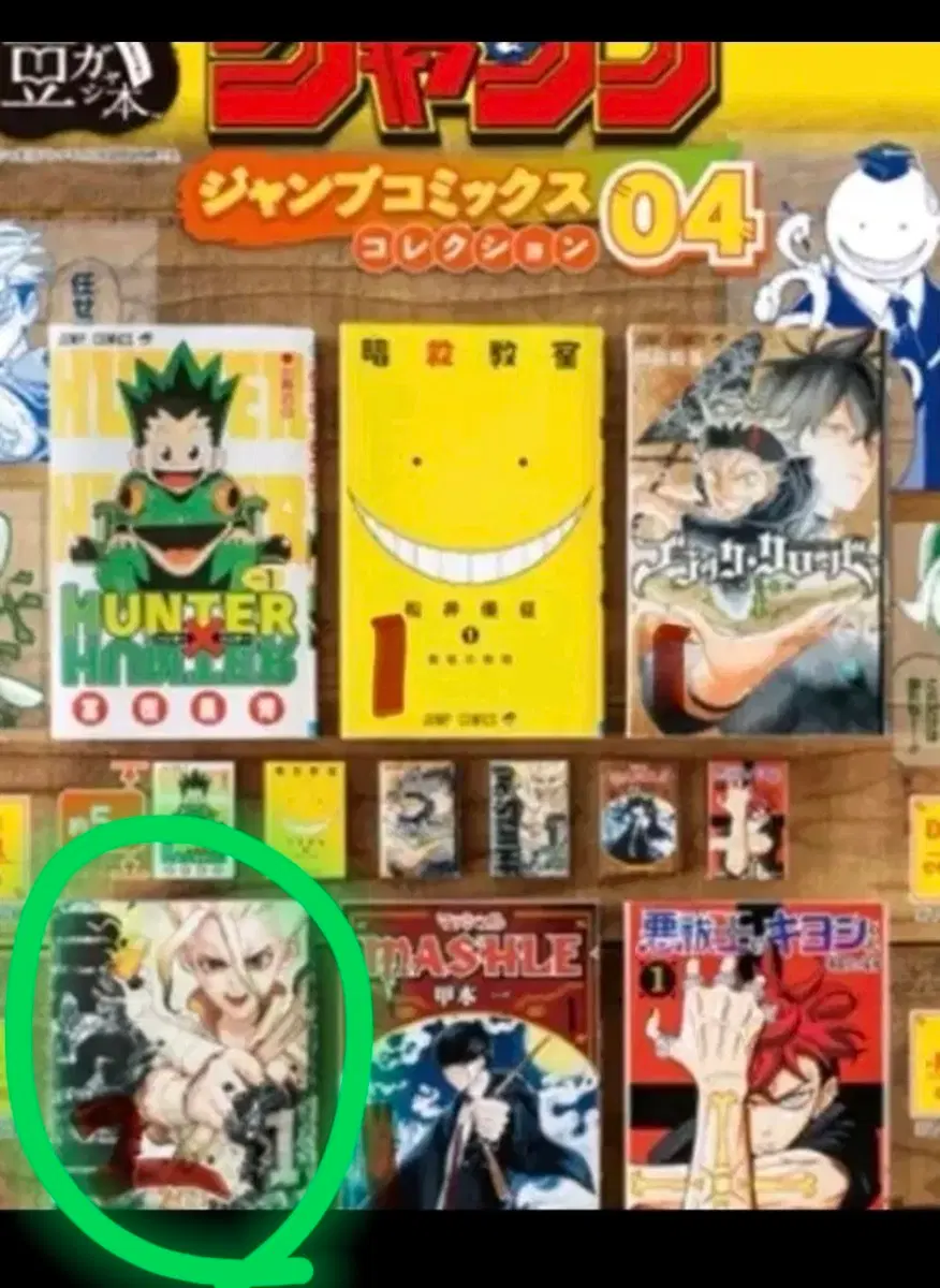 반다이 콩가샤 닥터 스톤 Dr stone