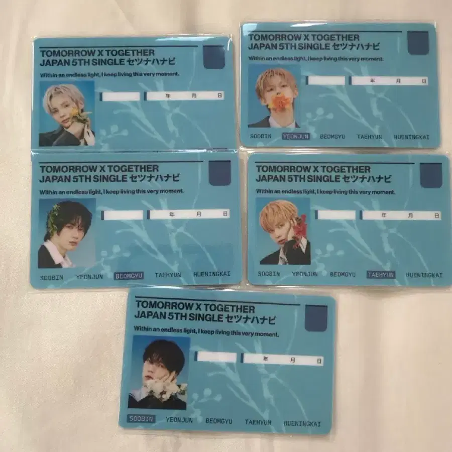 투바투 TXT 일본 앨범 세츠나하나비 포카