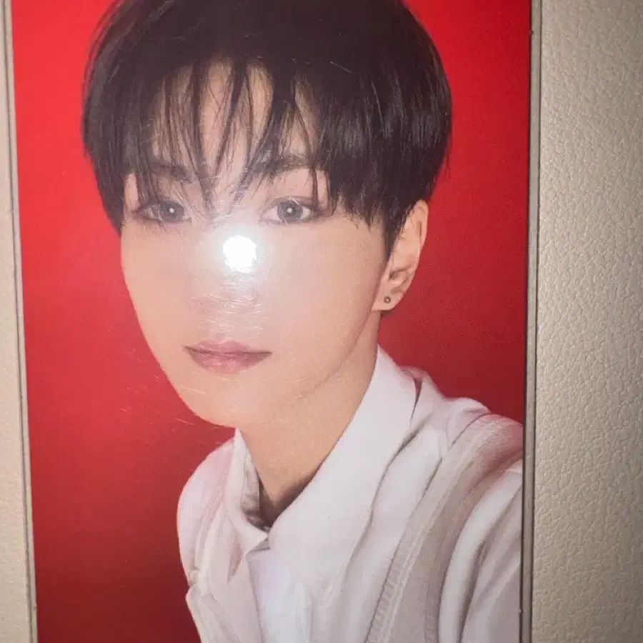 워크더라인 파이널 정원 엔하이픈 트레이딩카드 포카