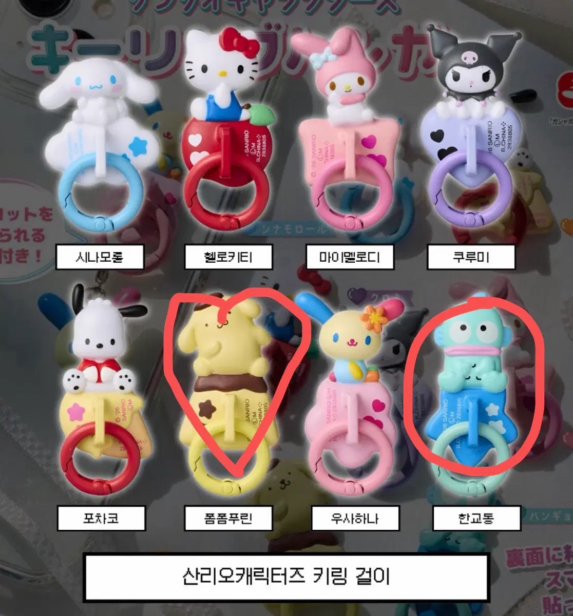 산리오캐릭터즈 키링 걸이 가챠 한교동 폼폼푸린
