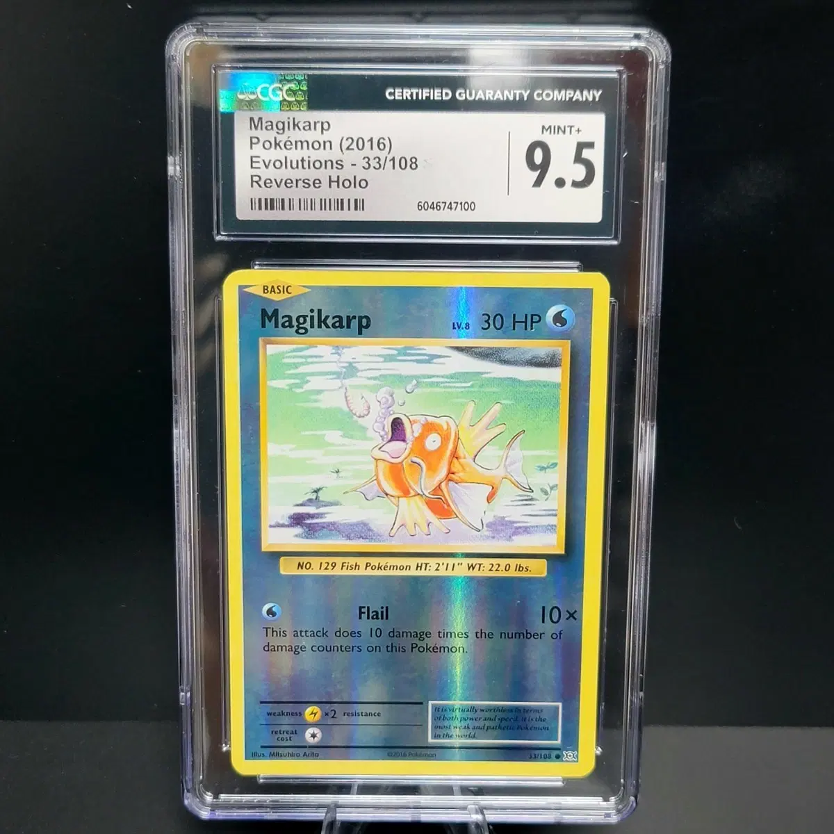 2016 포켓몬 XY Evolutions 북미판 잉어킹 #33/108 리버스 홀로 CGC 9.5