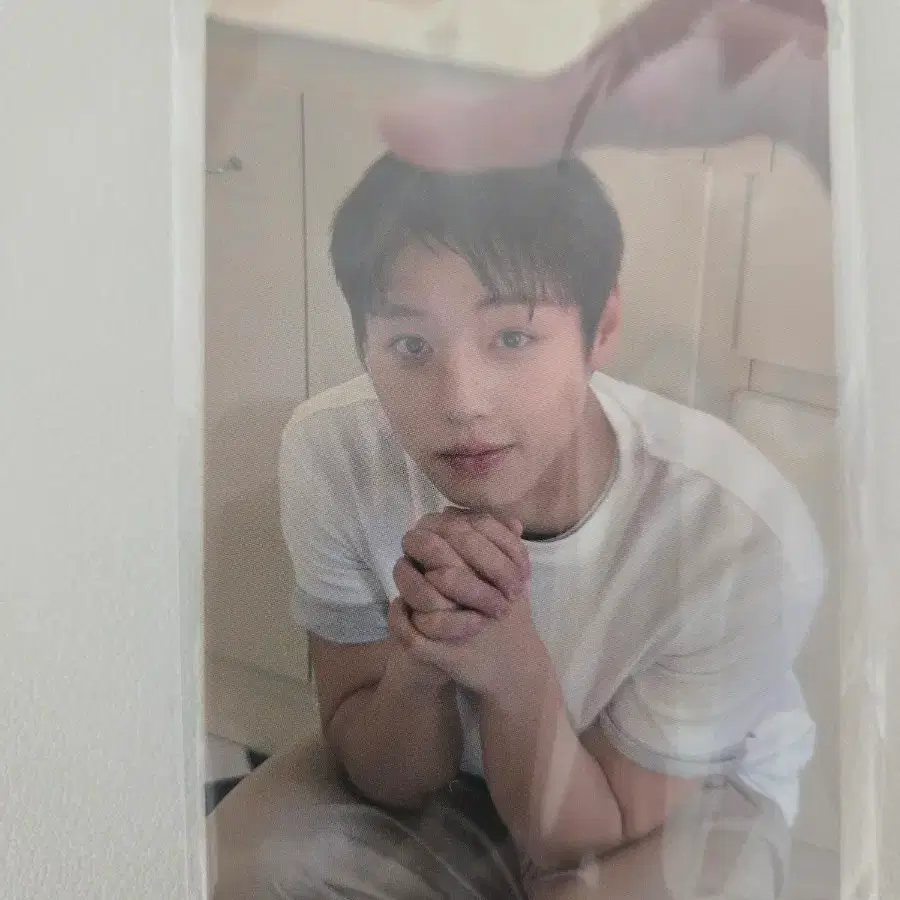 박지훈 포맨트포카 양도