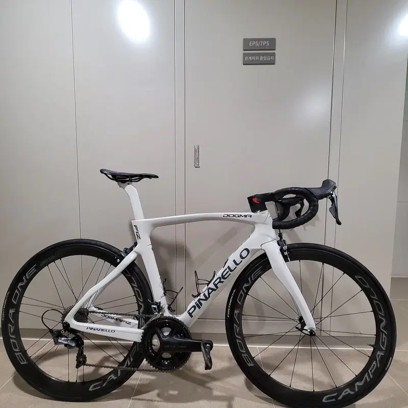 피나렐로 도그마 f12 초급처