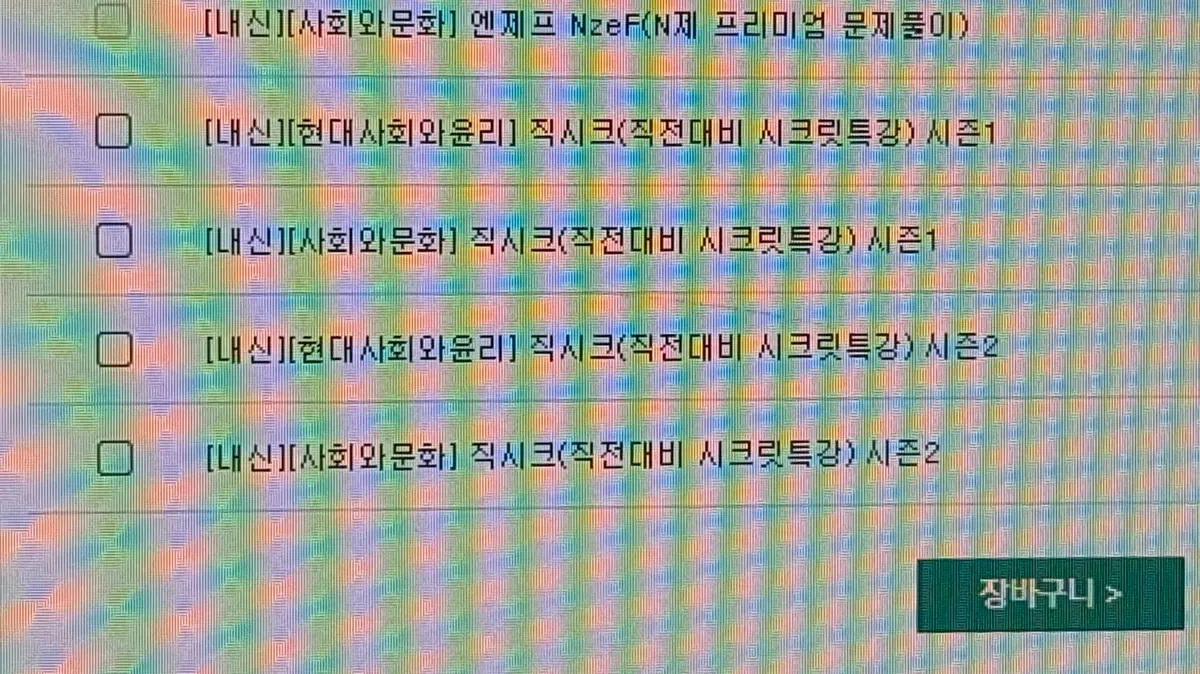 [사회와 문화/ 현대사회와윤리 문제집] 직시크
