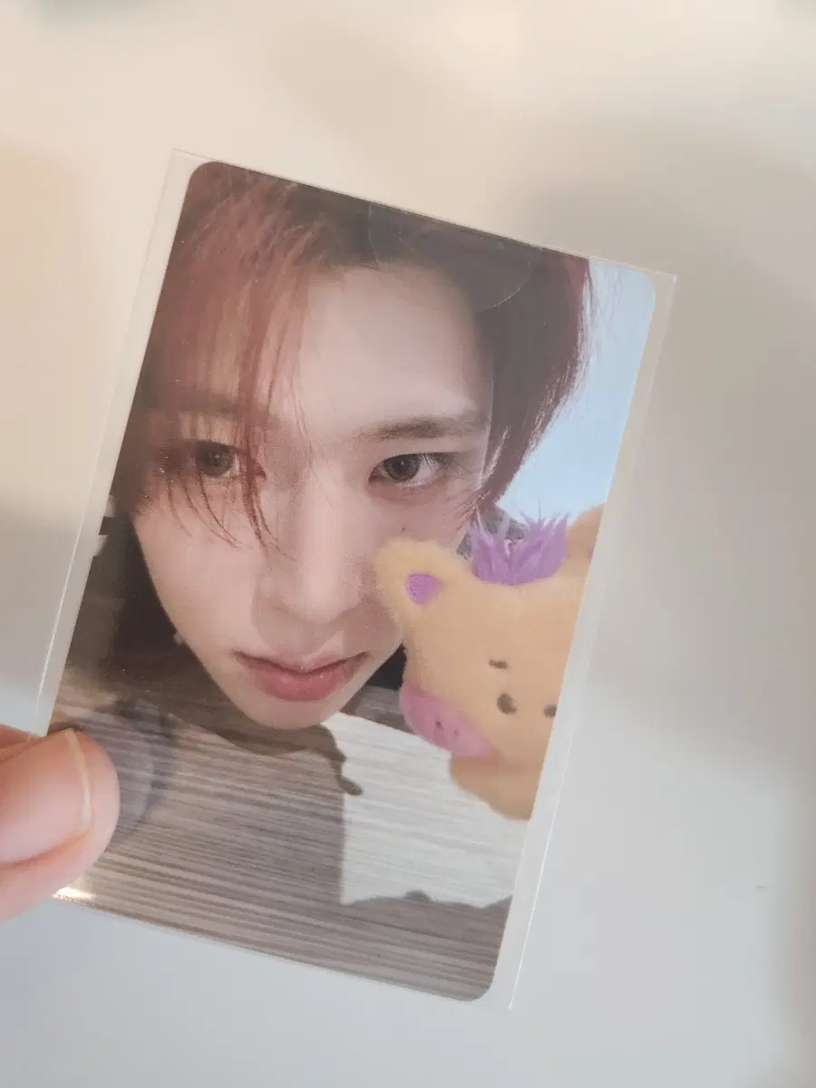 엔시티위시 시온 위시니니 플러시키링 포카 양도
