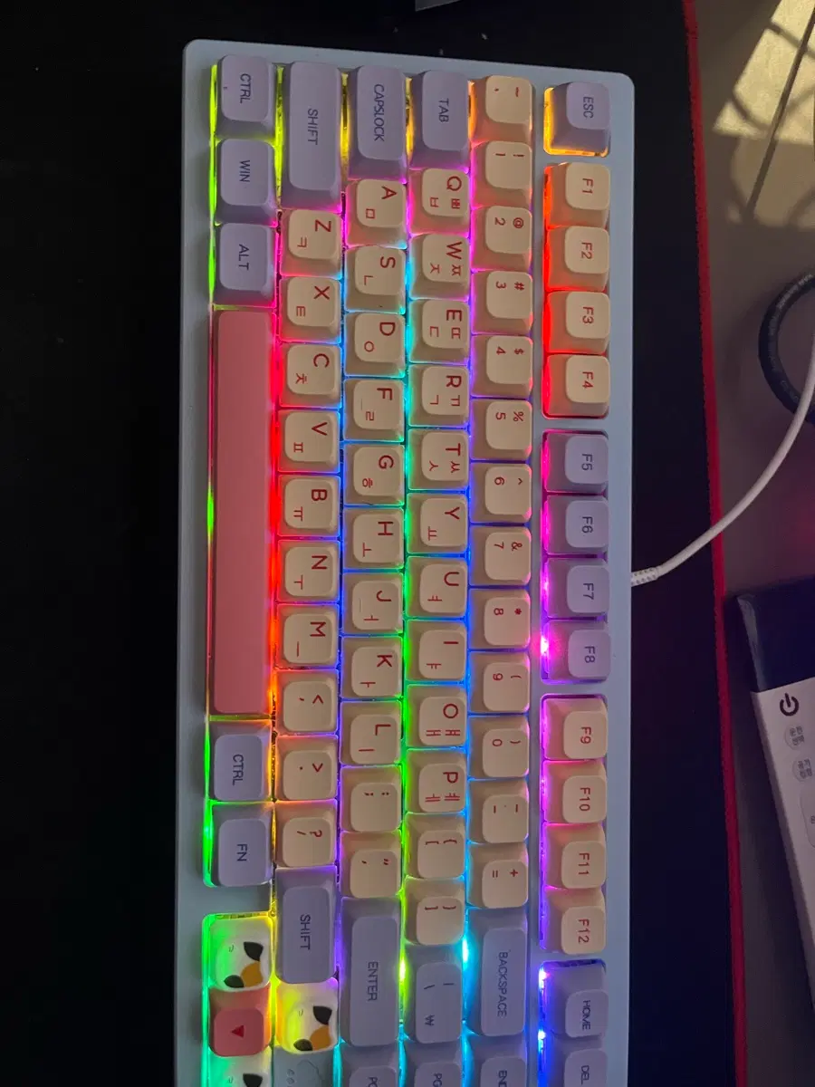 컴퓨터 풀세트