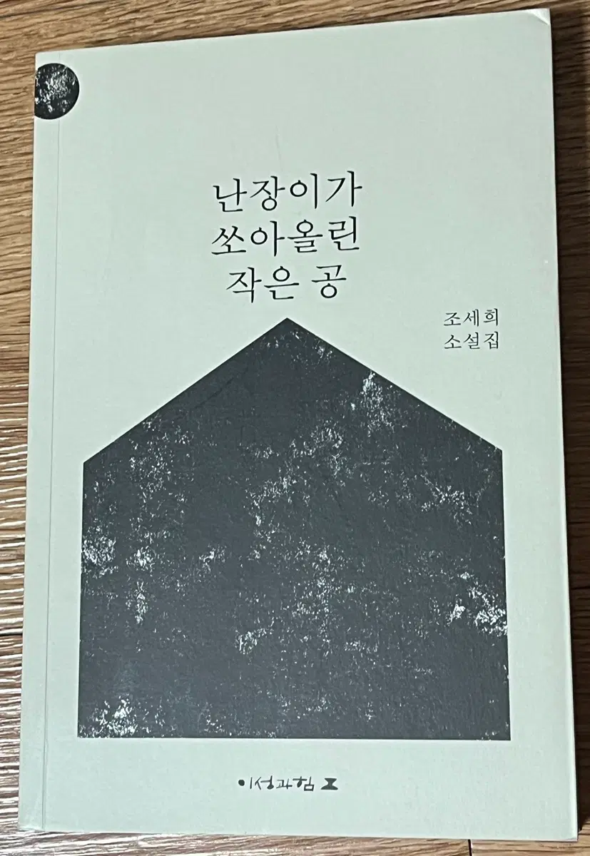 난장이가 쏘아올린 작은 공