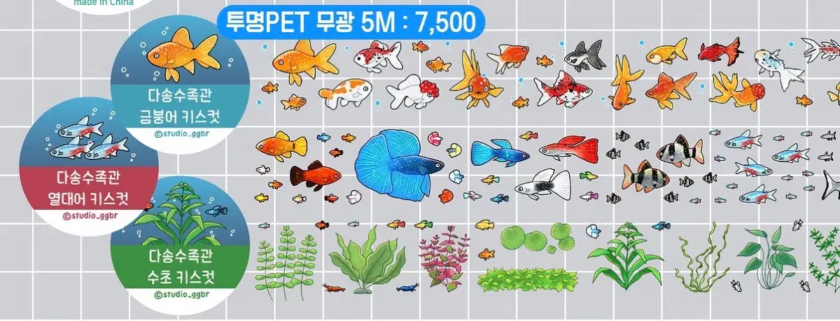 스튜디오 깨보리 투명PET 무광 키스컷 금붕어 열대어 수초 키스컷 소분