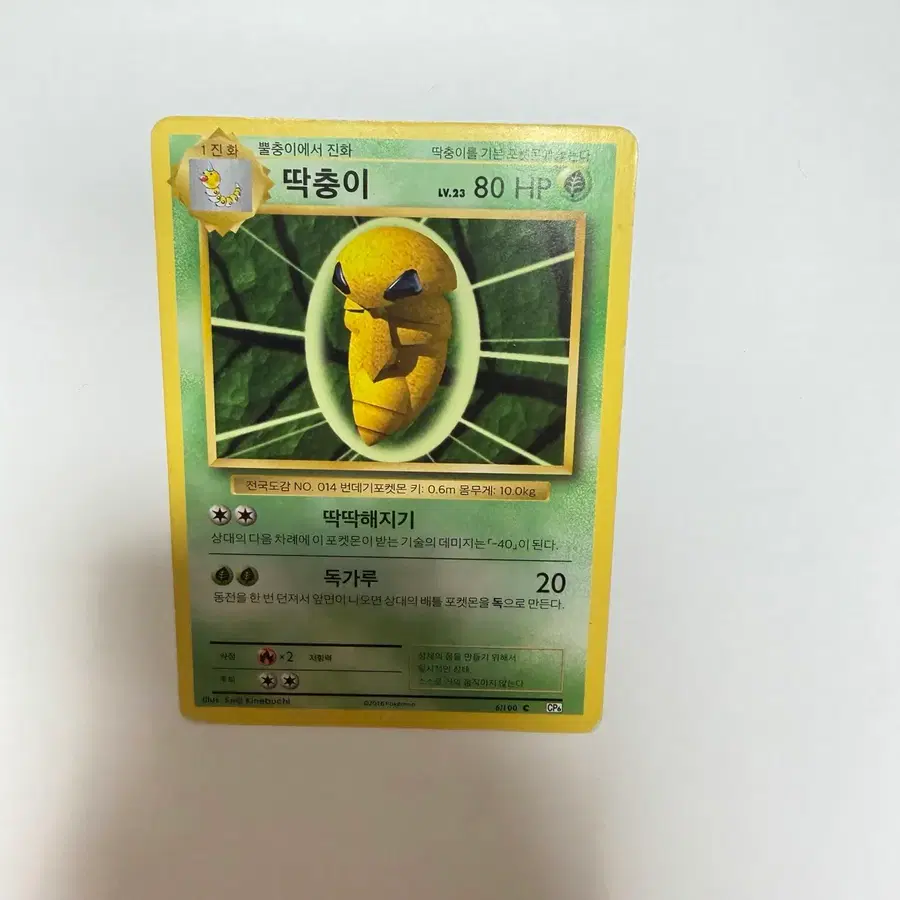 딱충이 고전 포켓몬카드