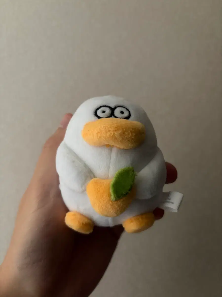 오둥이 인형