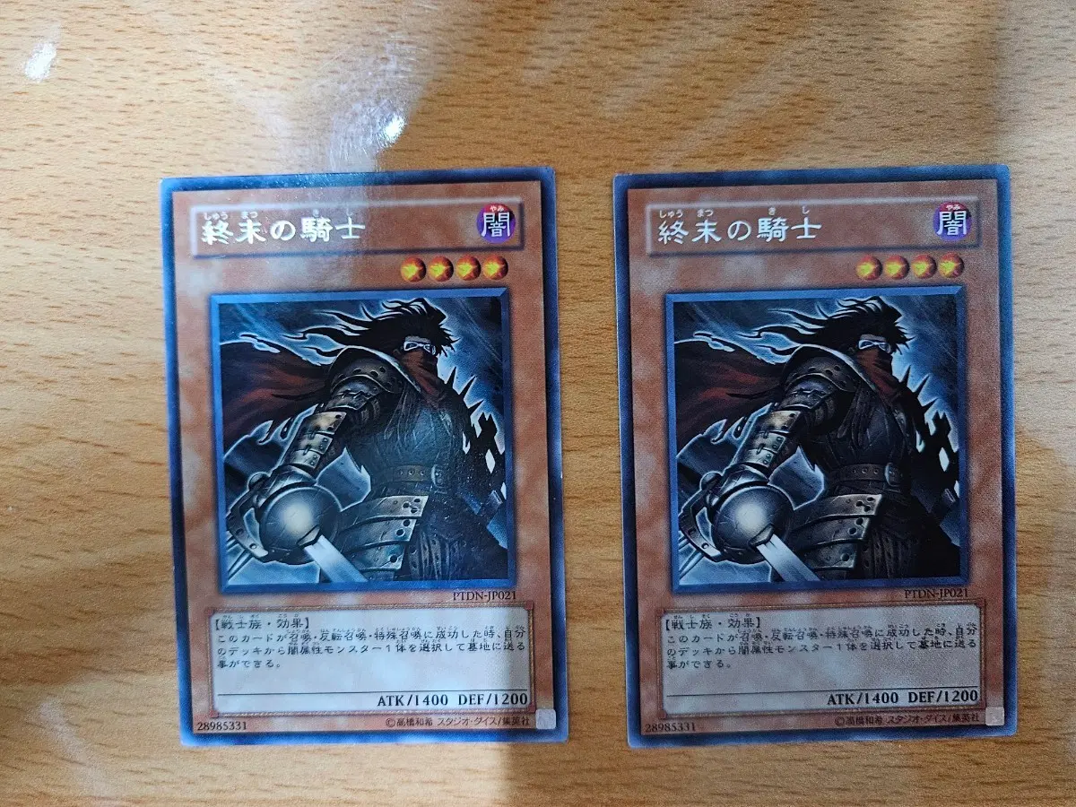 종말의 기사 PTDN 카드
