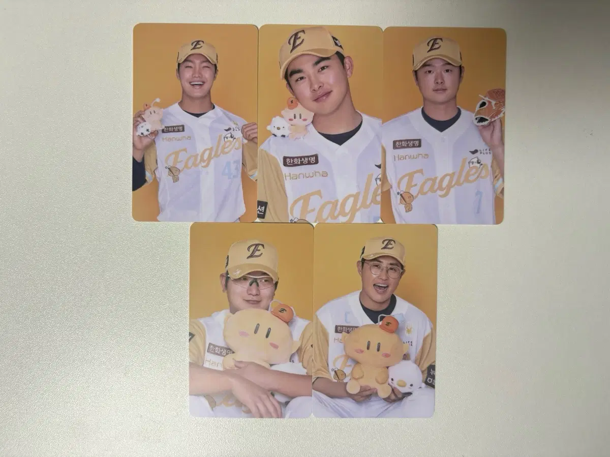 한화이글스 꿈돌이 포토카드