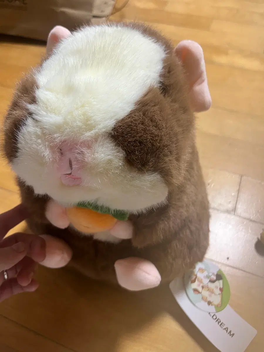 모루못토상 중형 인형 당근