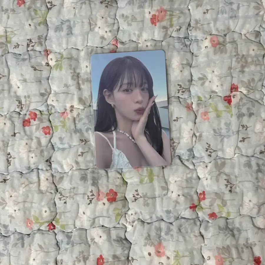 Fromis 9 채영 포토카드