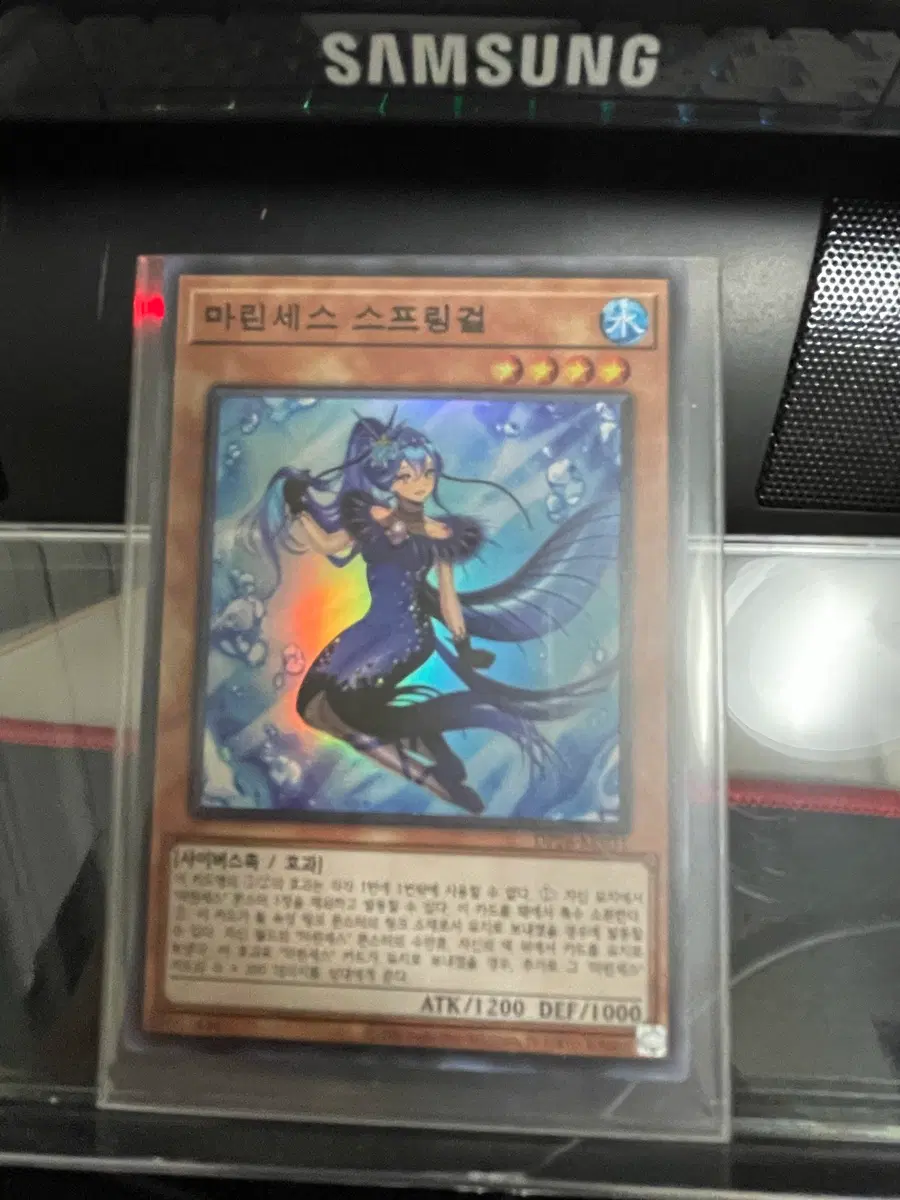 마린세스스프링걸 슈퍼레어 한글판 유희왕