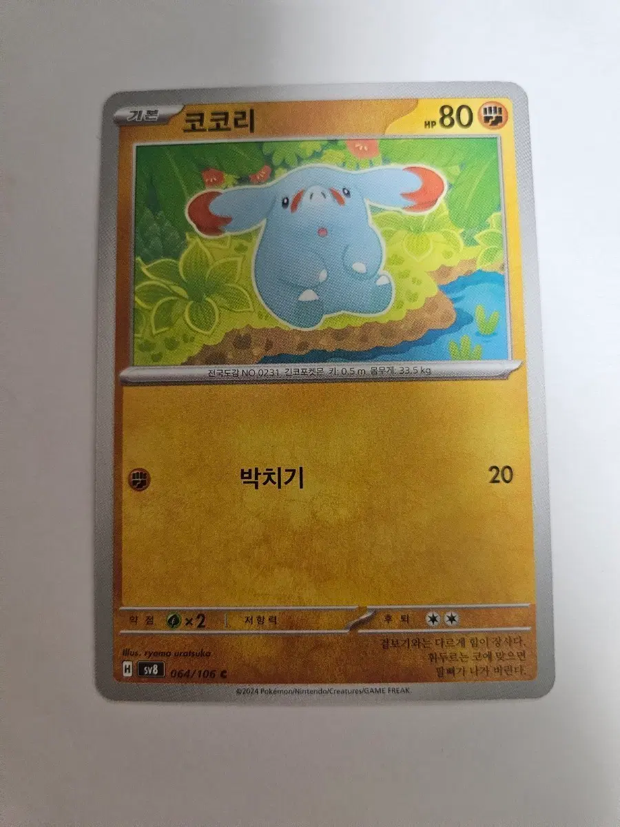 포켓몬카드 코코리