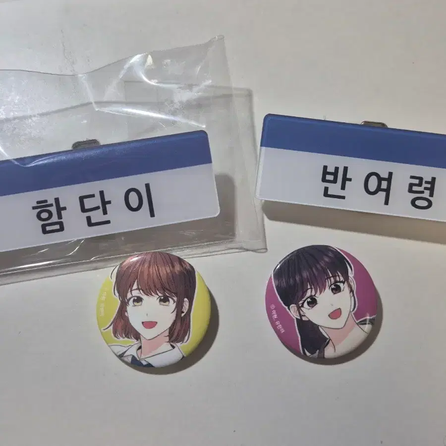 일괄) 인소의 법칙 함단이 반여령 명찰 + 뱃지 세트