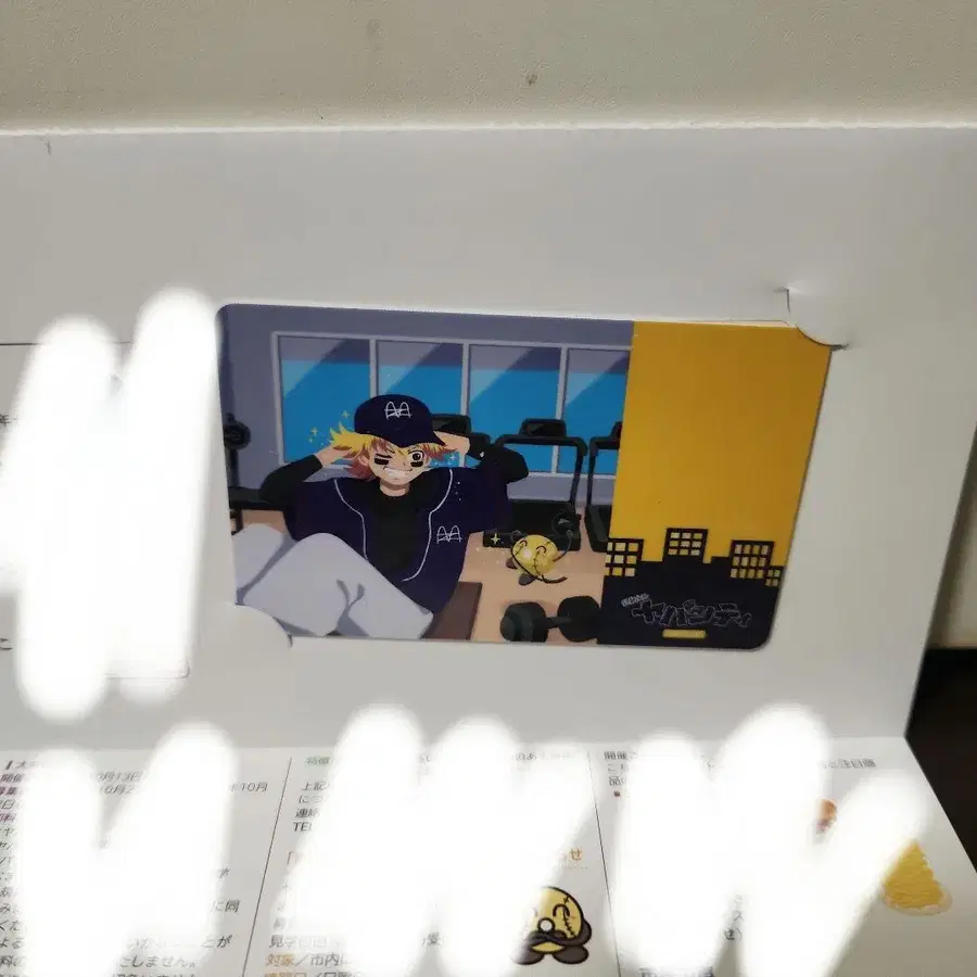 6번째 상품 이미지
