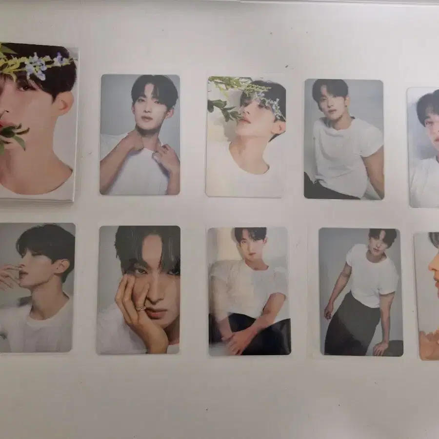 세븐틴 도겸 포카 일괄