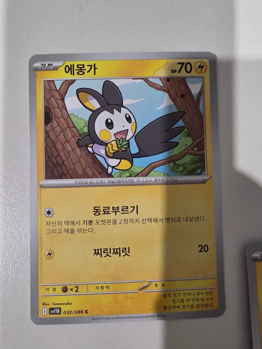 블랙볼트 에몽가 열매들고있는게 커여움