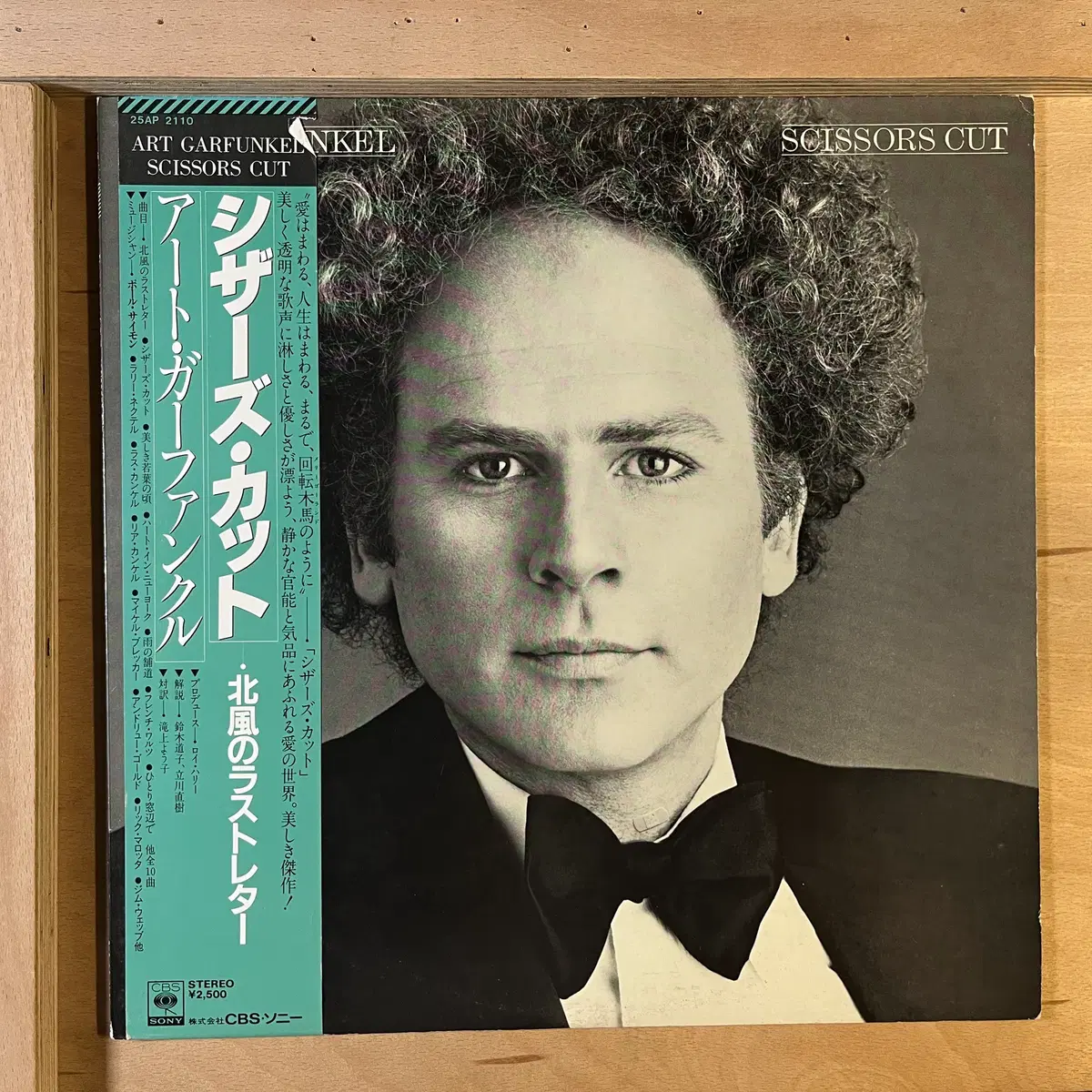 Art Garfunkel Scissors Cut 일본 초반 1981년 LP