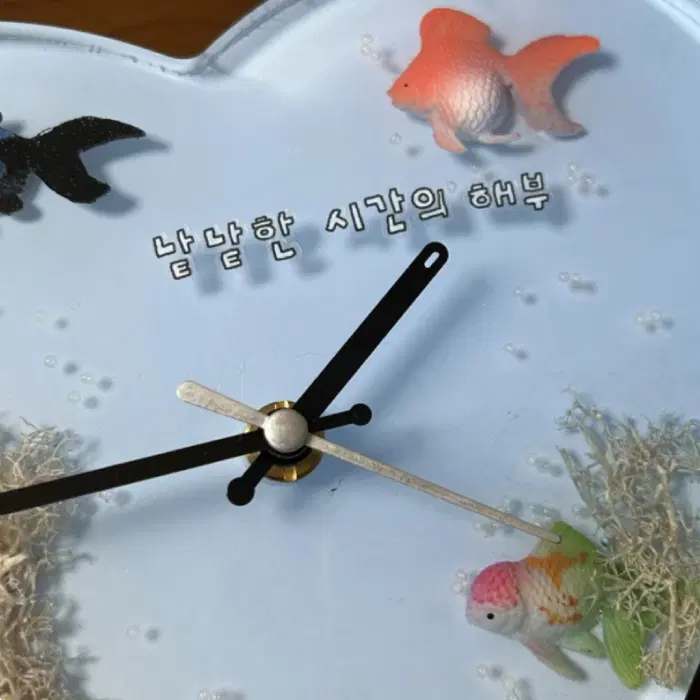 솔솔수집 보글보글해파리체 검정 키스컷