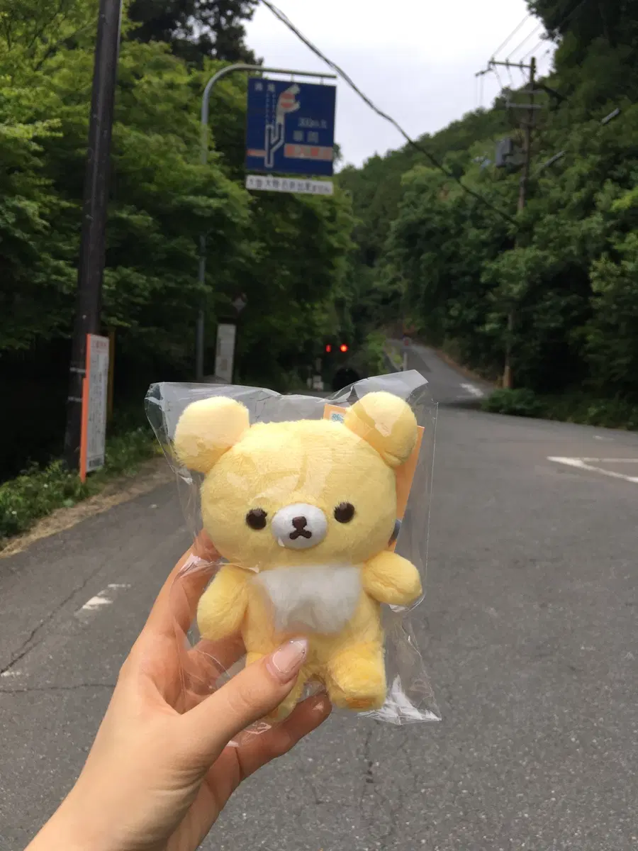 (택0) 치즈 코구마 일본 현지 구매