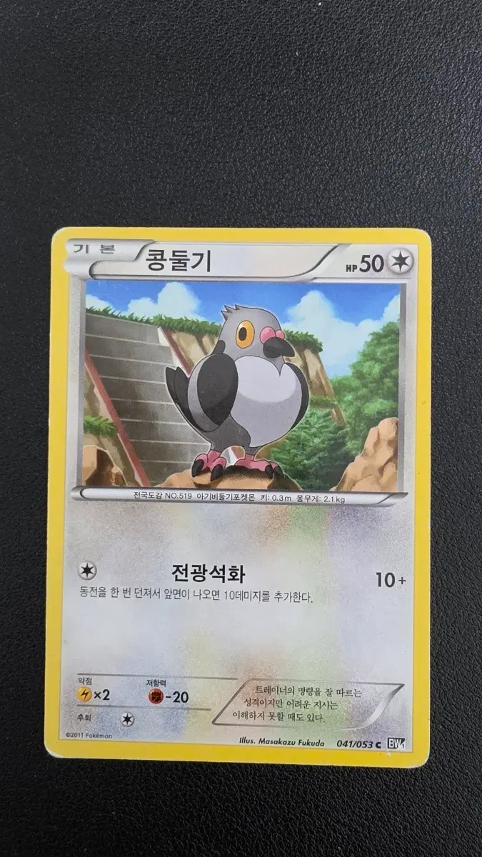 포켓몬 카드 콩둘기 bw1 041/053