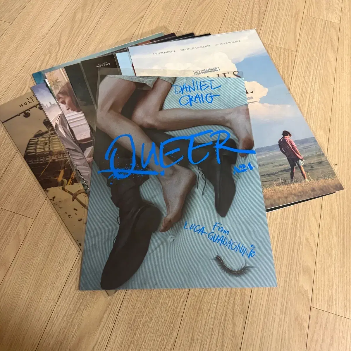 퀴어 오리지널 포스터 QUEER 콜미바이유어네임 루카구아다니노 영화
