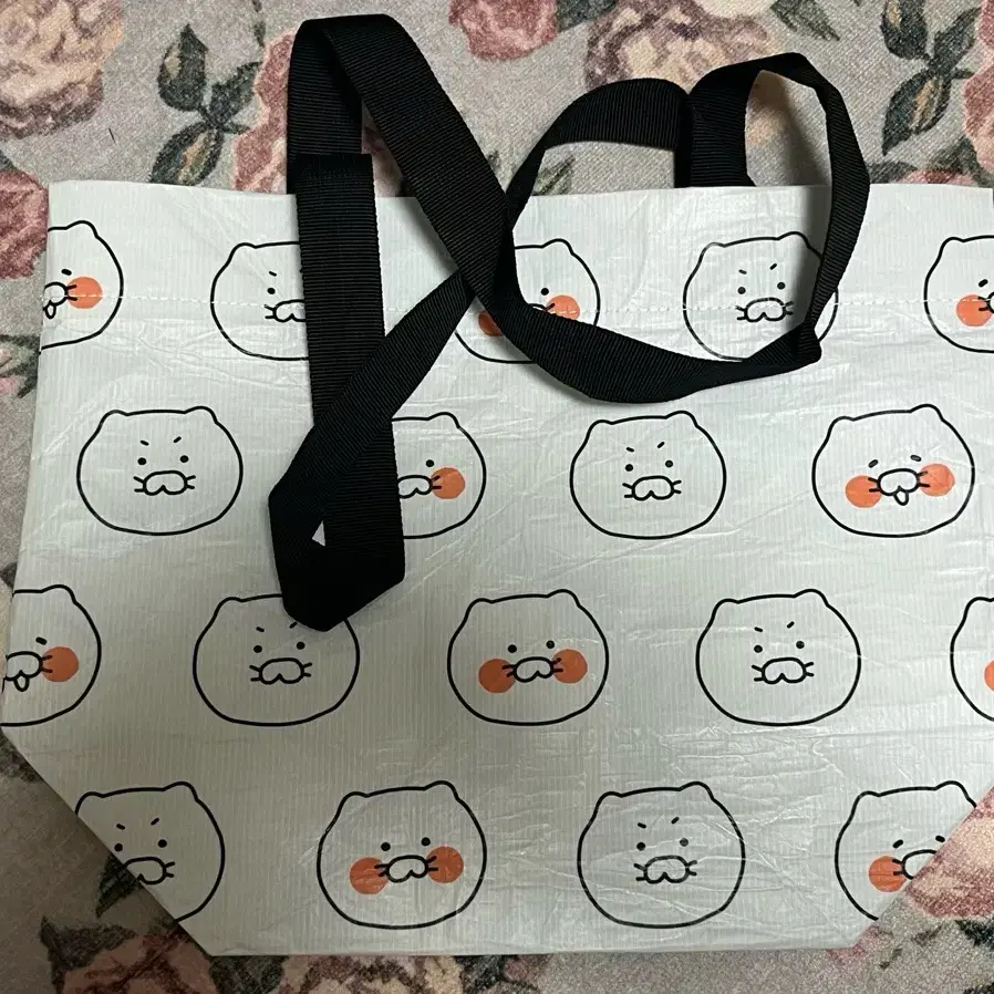 춘식이 타포린백