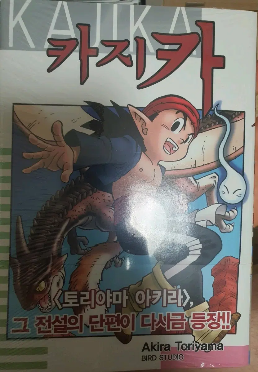 카지카 만화