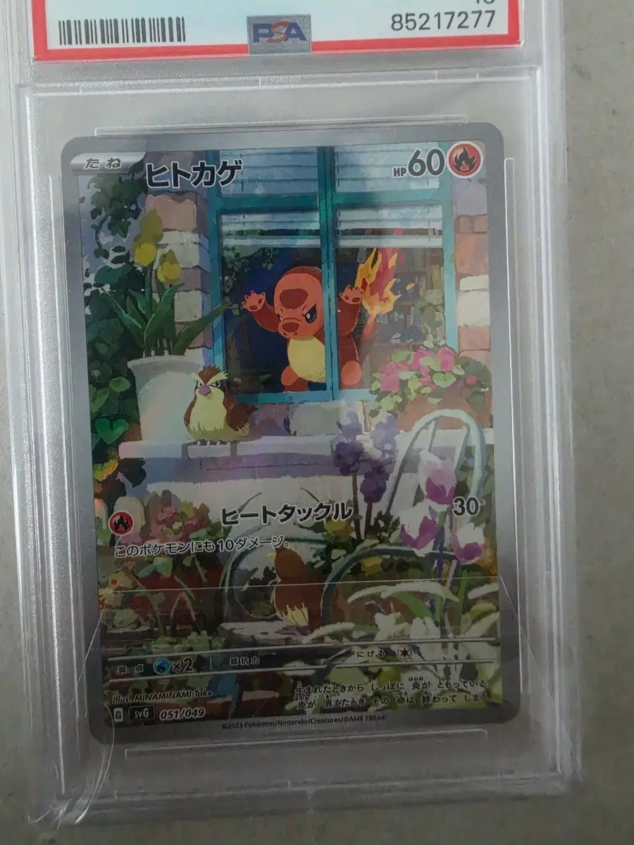 포켓몬 카드 스페셜덱 창문 파이리 psa10