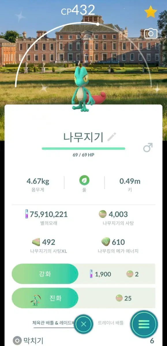 로케이션 배경 이로치 나무지기 진화체