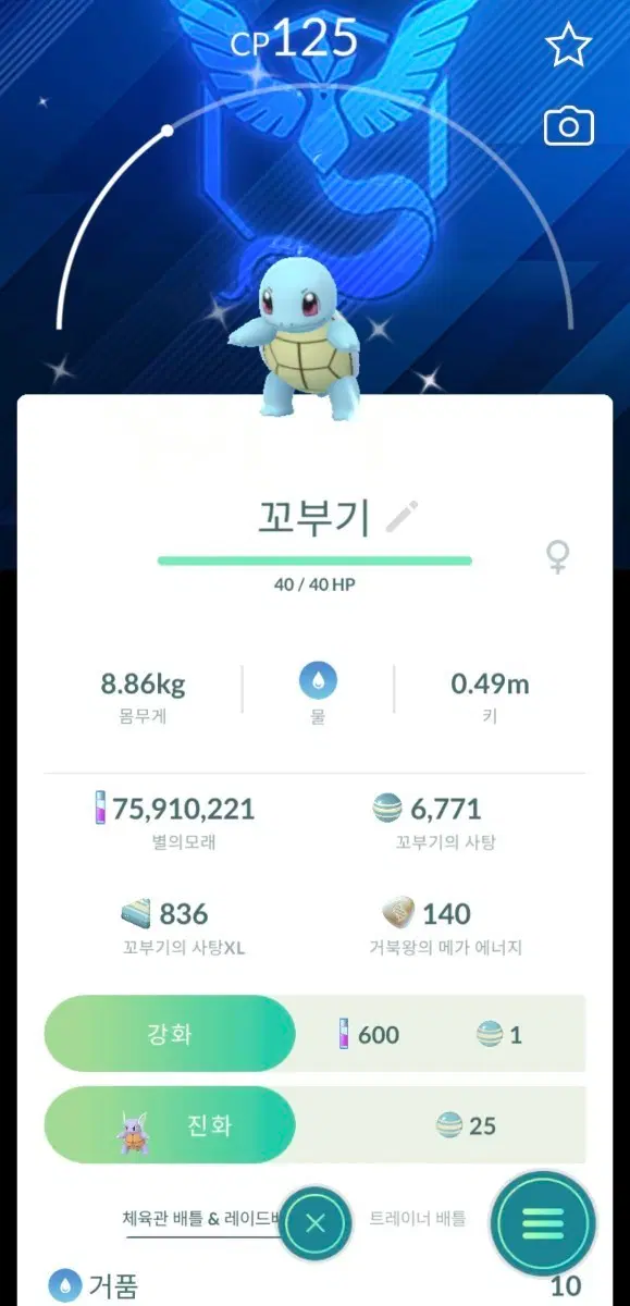 미스틱 배경 이로치 꼬부기