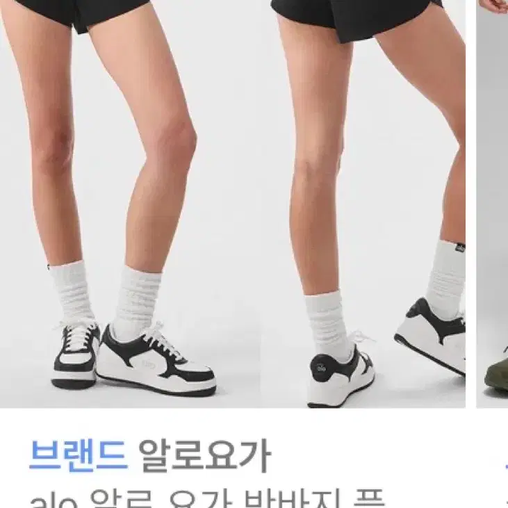 돌핀챈츠
