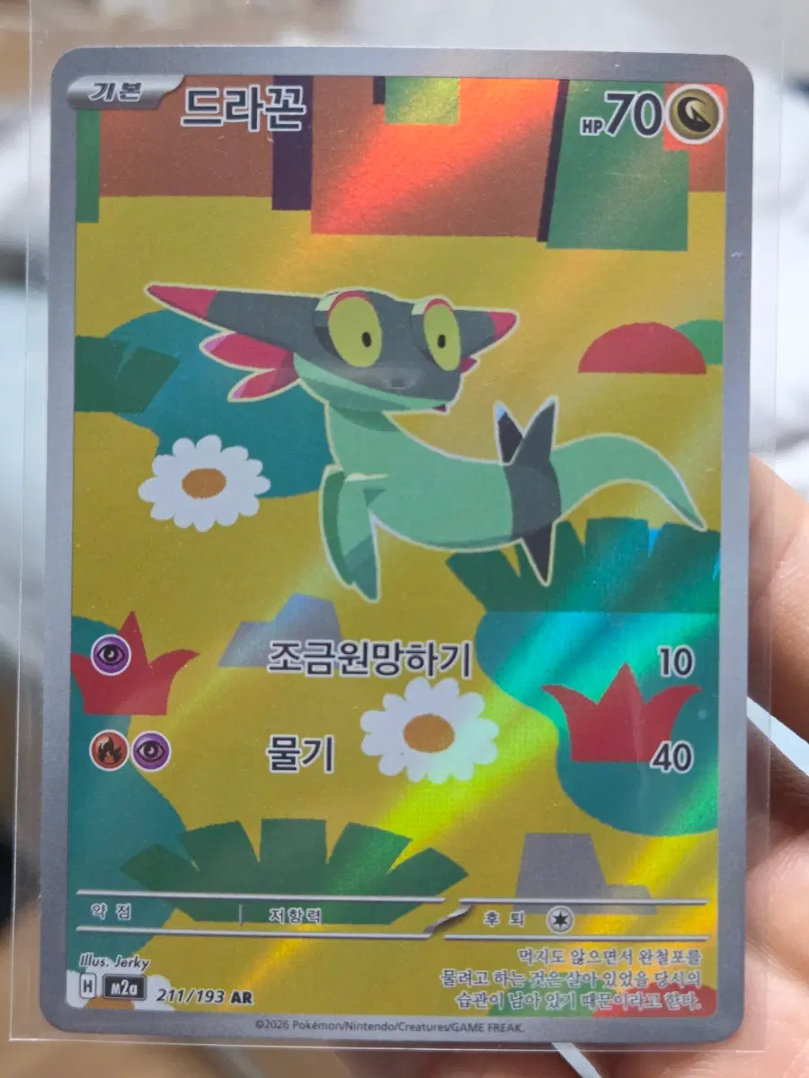포켓몬카드 드라꼰 AR