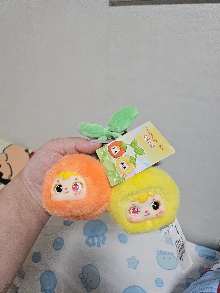 사무엘신나는과일