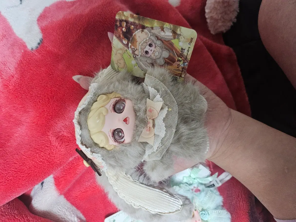 미오코 버니 드림 하우스