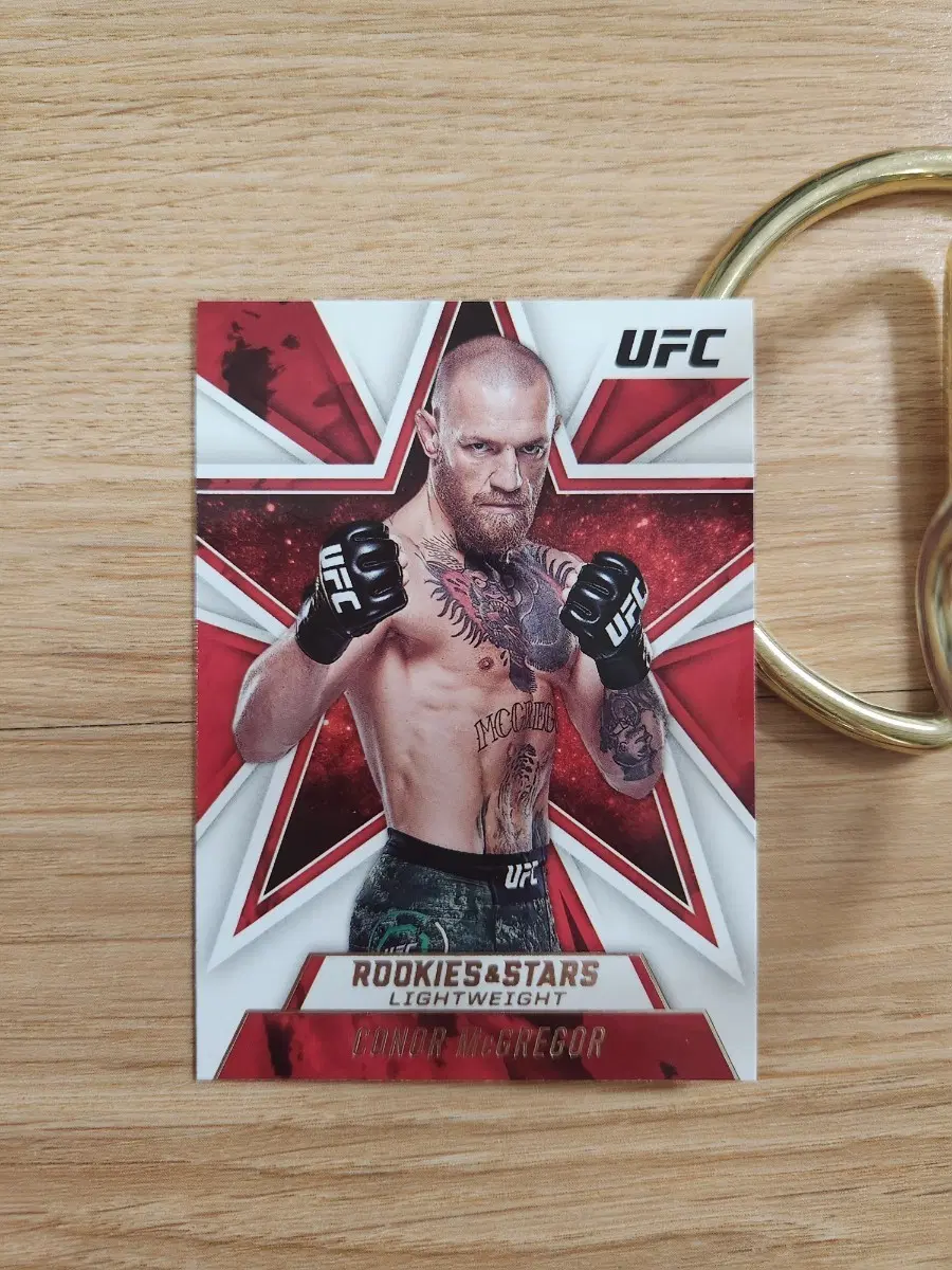 21파니니 ufc 코너 맥그리거 격투기카드