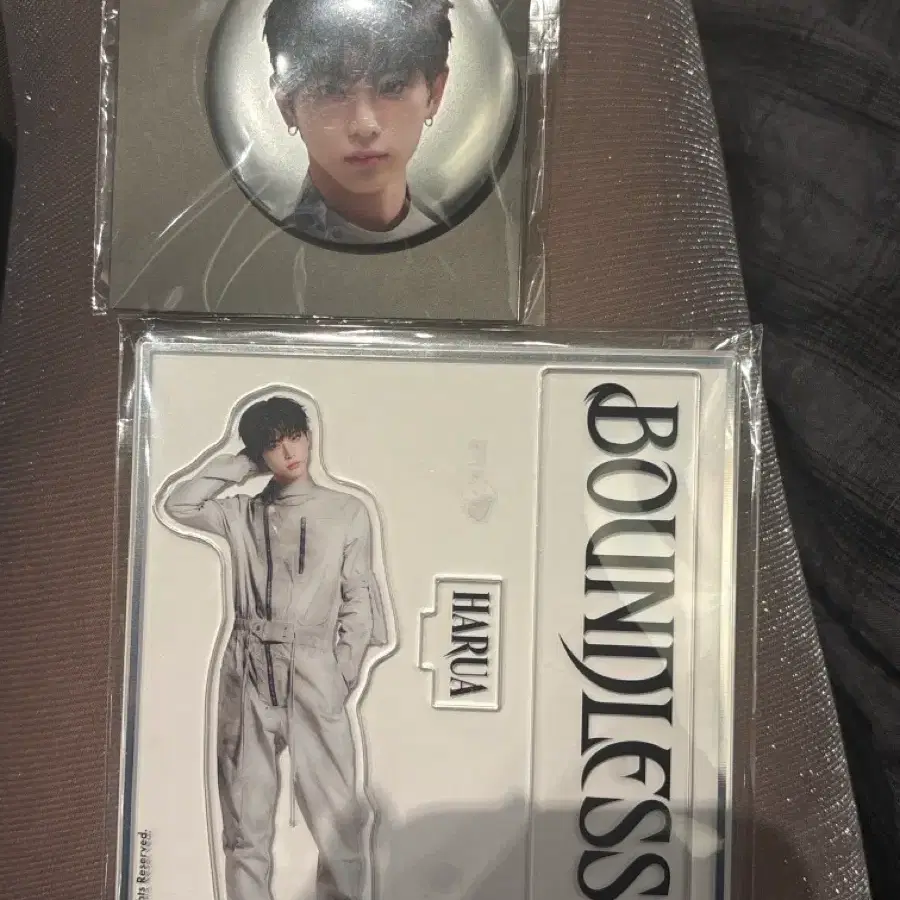 HARUA 하루아 &TEAM 앤팀 아크스타 아크릴 스탠드 VR BOUNDLESS