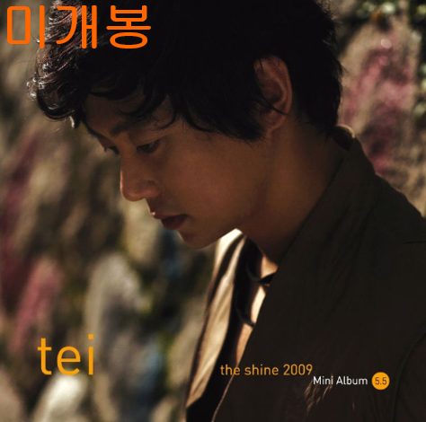 테이 (Tei) - The Shine 2009 (미개봉, CD)