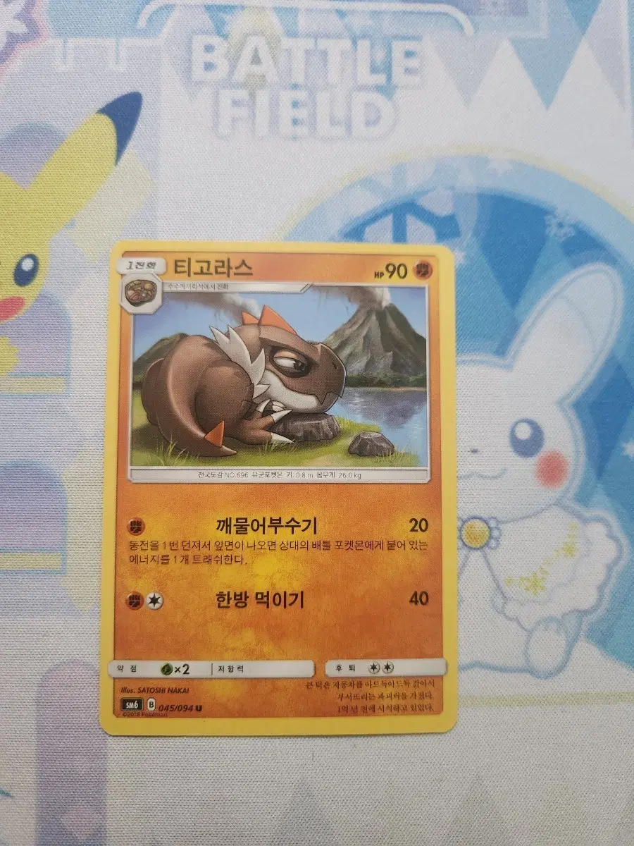 티고라스 포켓몬 카드