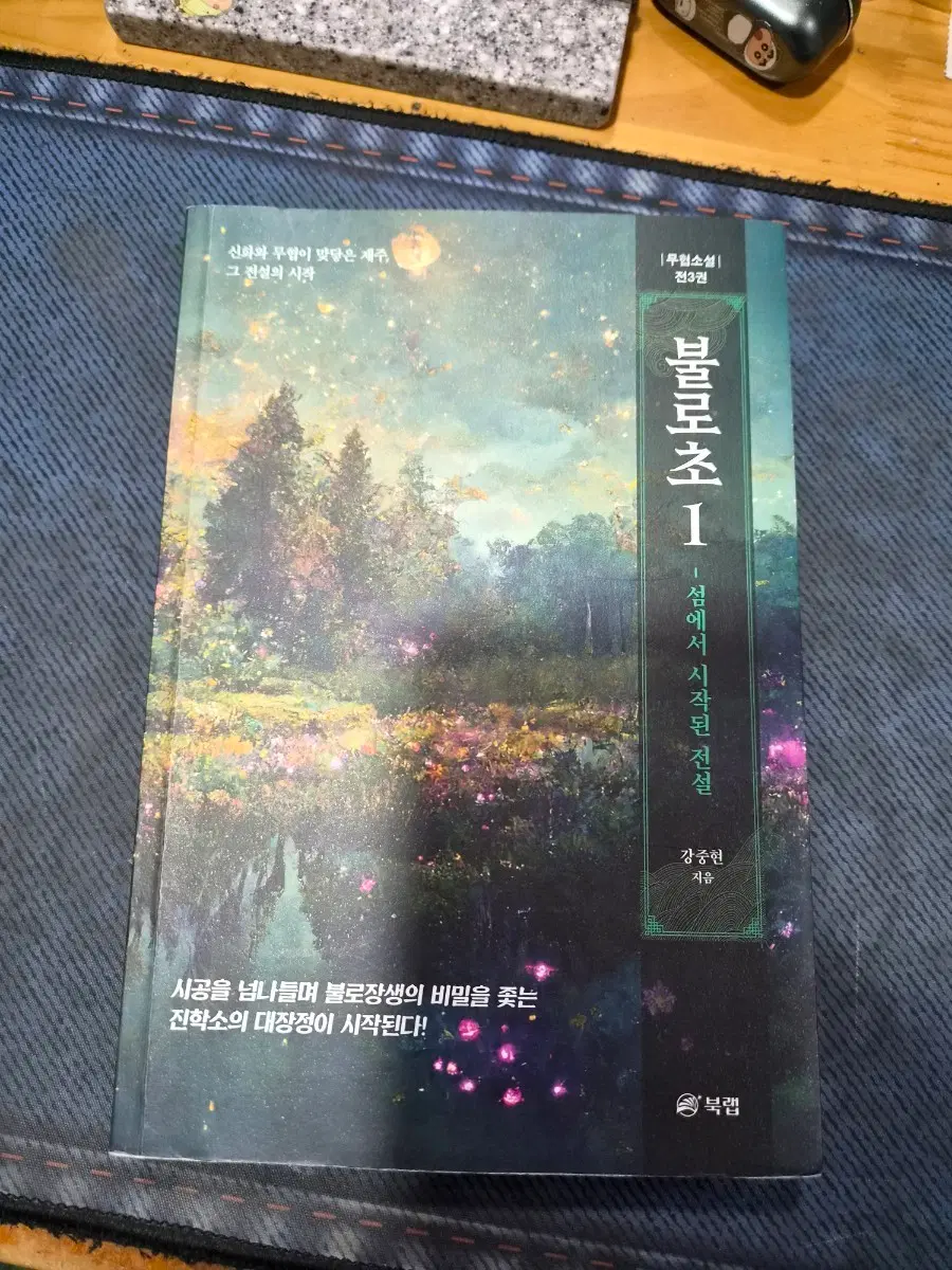 불로초1권 소설책 팝니다